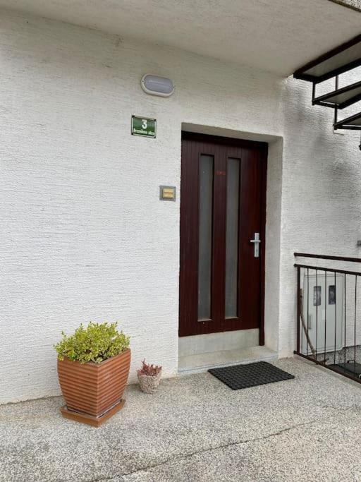 Spacious In A Quiet Neighbourhood + Private Parking Apartment